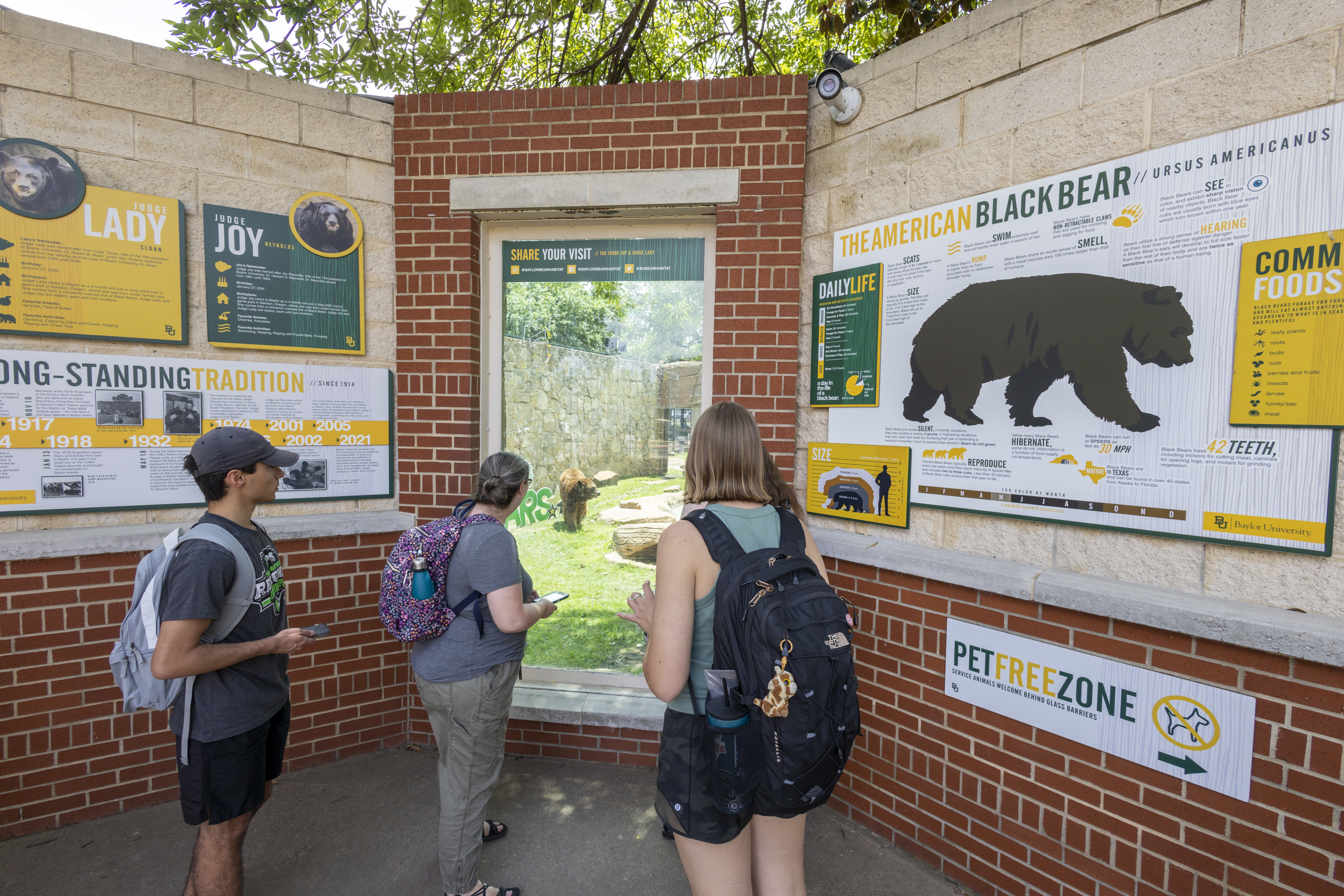Three visitors stand outside the bear habitat. A bear can be seen through the display glass.