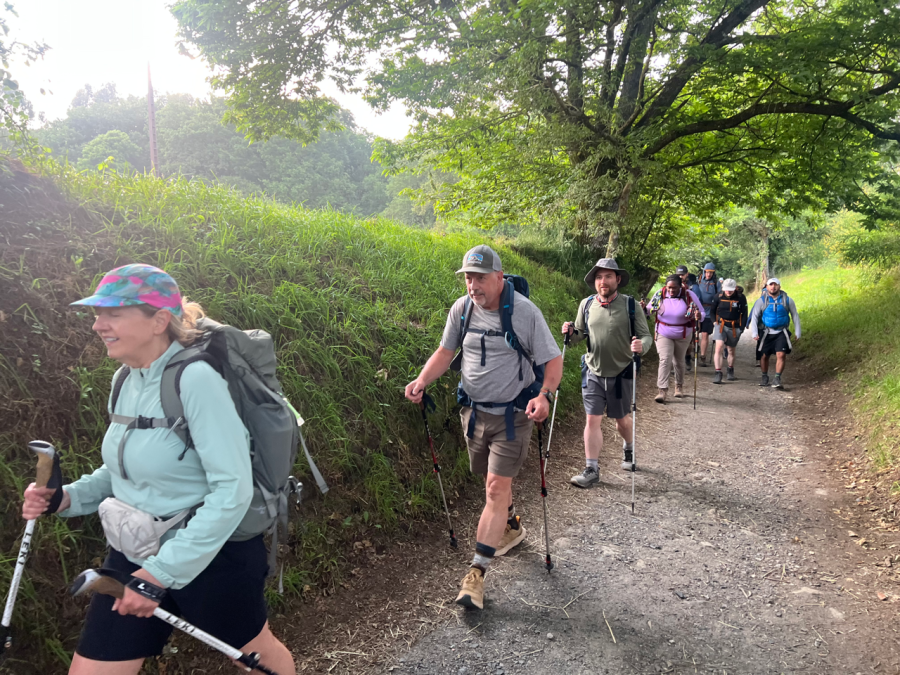 Camino 3